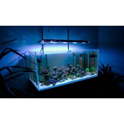 Как подобрать освещение для аквариума?