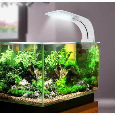 На сколько долго нужно оставлять включённой подсветку аквариума?