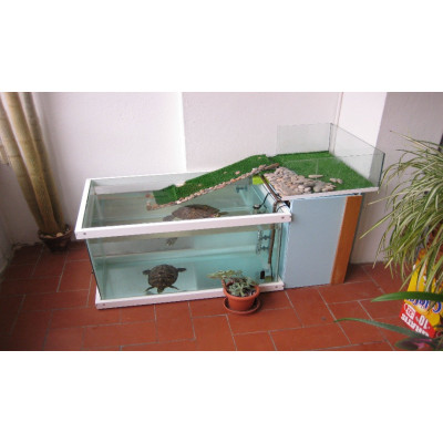 Каким должен быть аквариум для черепахи? 